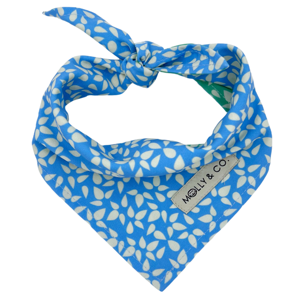 Seafoam - Reversible Dog Bandana - FINAL SALE