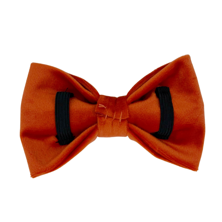 Tangerine Velvet - Dog Bowtie