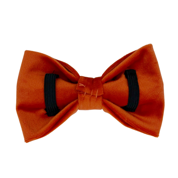 Tangerine Velvet - Dog Bowtie