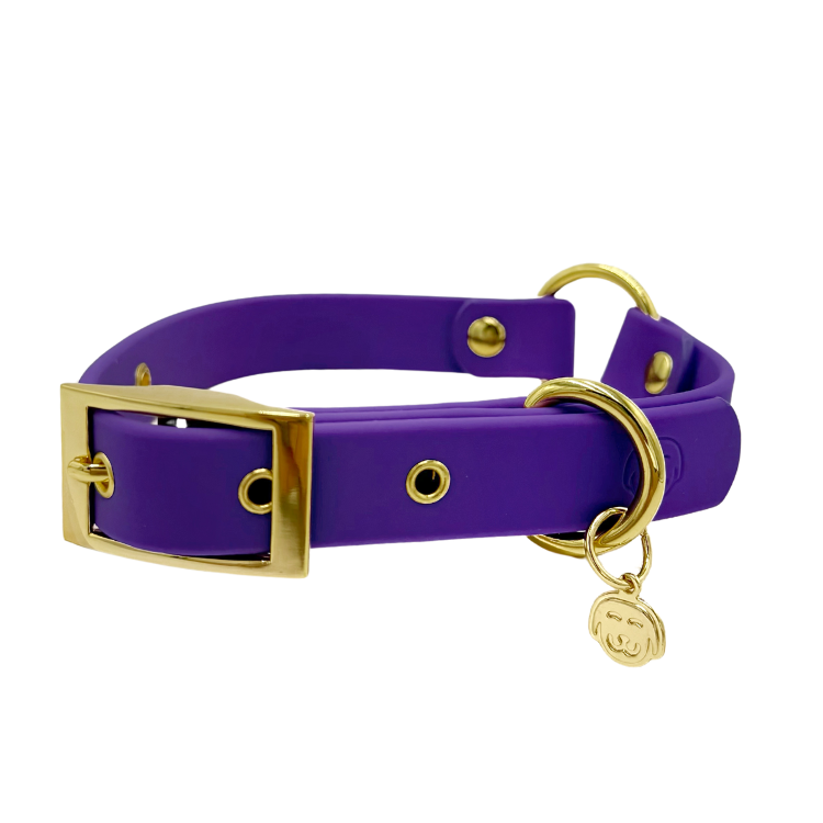 Purple Haze - Splashproof Dog Collar