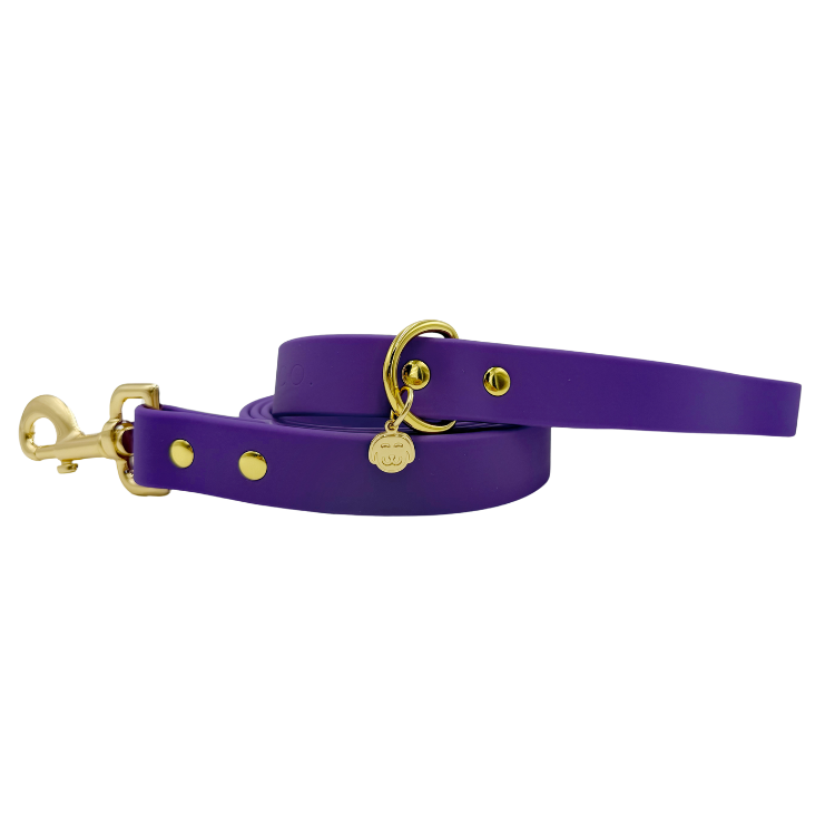 Purple Haze - Splashproof Dog Leash