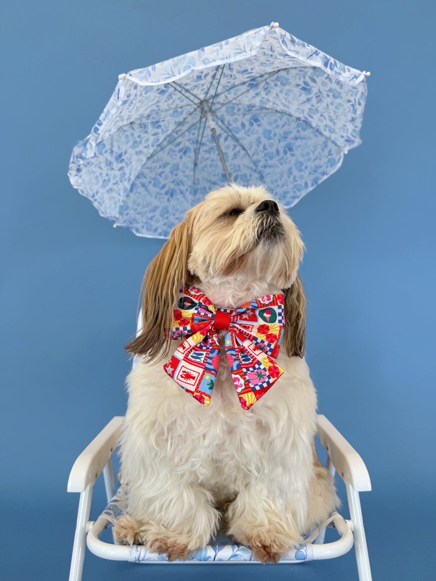 Amalfi - Dog Sailor Bowtie