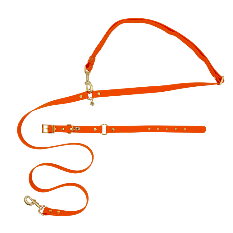 Sunburst - Splashproof Bundle