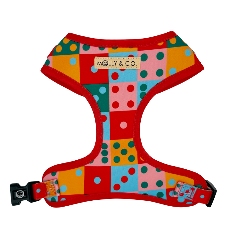 Doble Seis - Adjustable Dog Harness