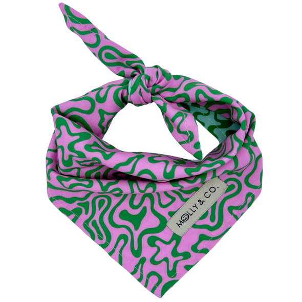 Seaweed - Reversible Dog Bandana - FINAL