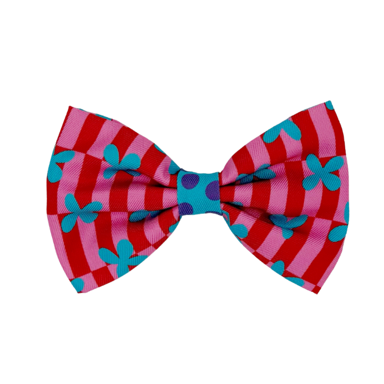 Supernova - Dog Bowtie