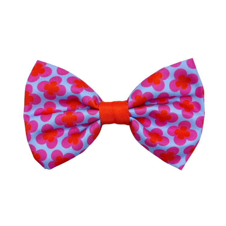 Venezia - Dog Bowtie