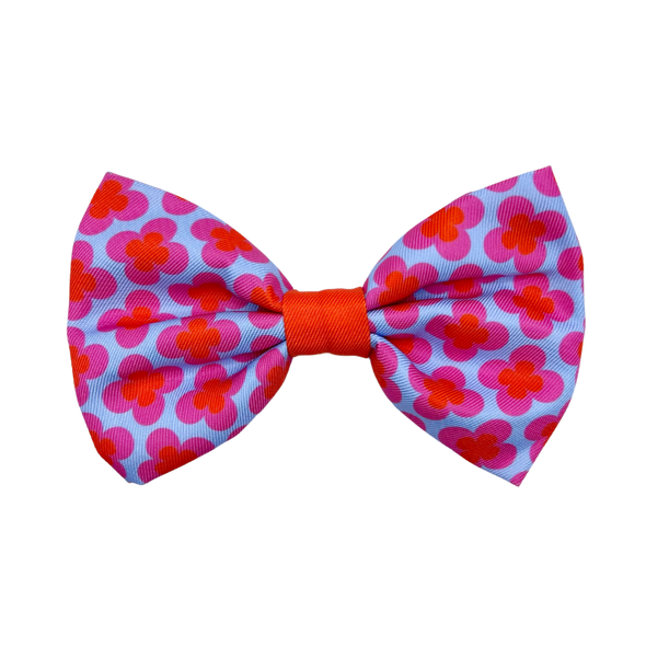 Venezia - Dog Bowtie