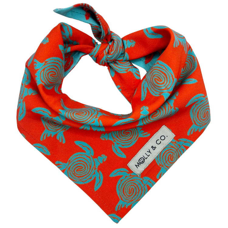 Turtle Trails - Reversible Dog Bandana