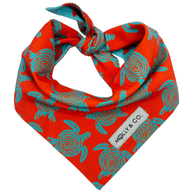 Turtle Trails - Reversible Dog Bandana