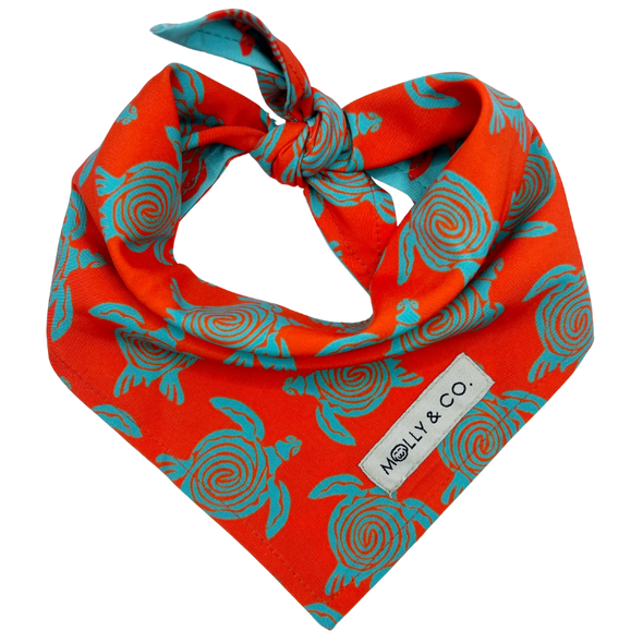 Turtle Trails - Reversible Dog Bandana