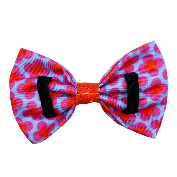 Venezia - Dog Bowtie