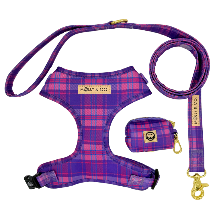 Pinkberry Plaid - Walking Bundle