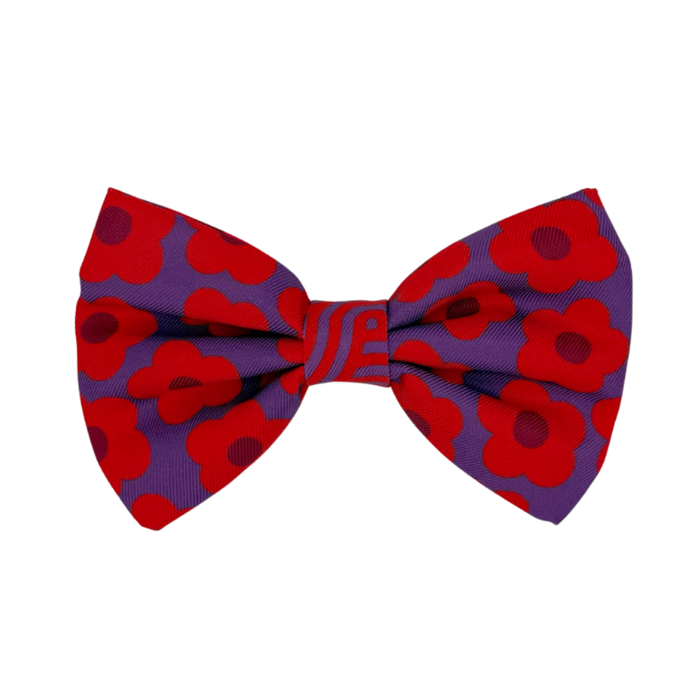 Mon Chéri - Dog Bowtie