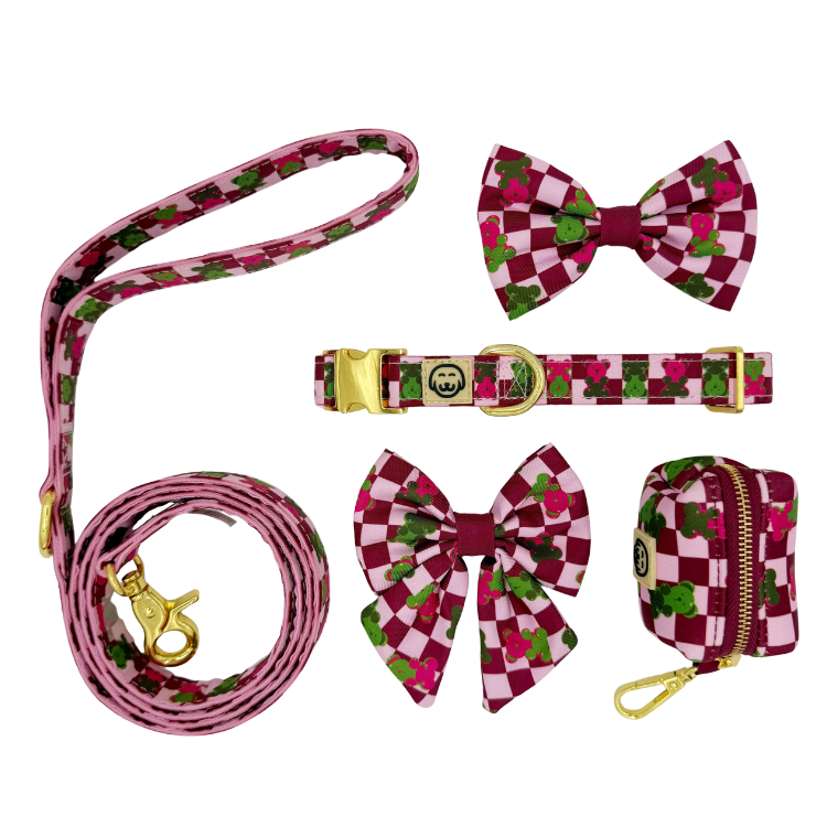 Deluxe Bundle - Gummy Bears