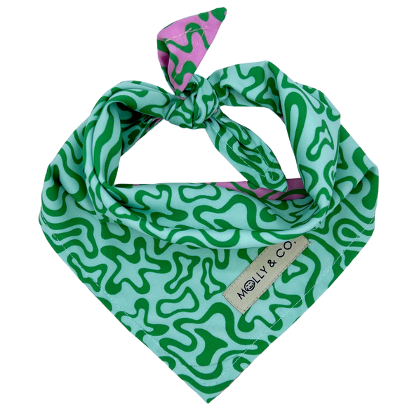 Seaweed - Reversible Dog Bandana - FINAL