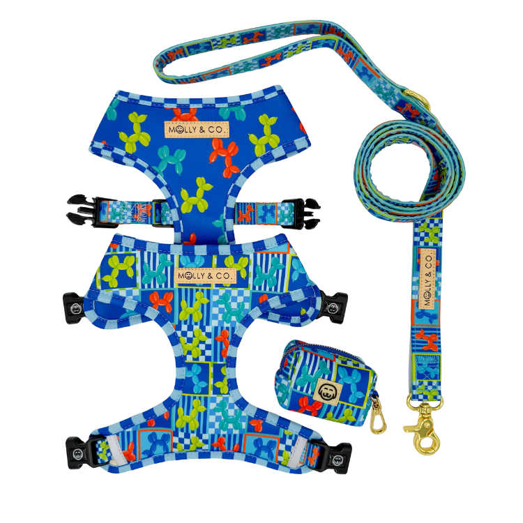 Neon Pop - Walking Bundle