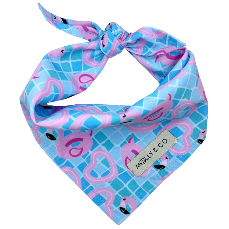 Splash Zone - Dog Bandana - FINAL SALE