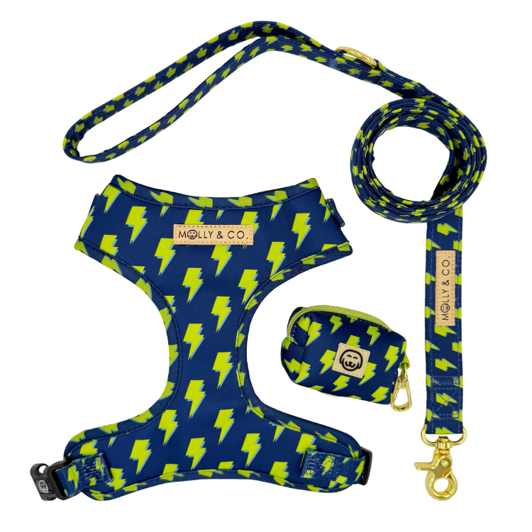 Bolt - Walking Bundle