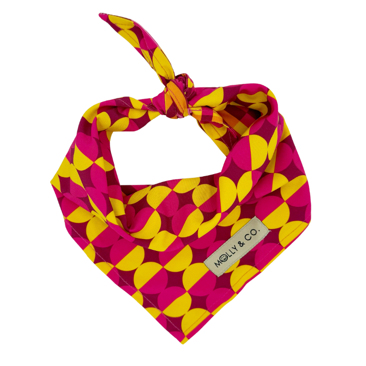 Odessa - Reversible Dog Bandana