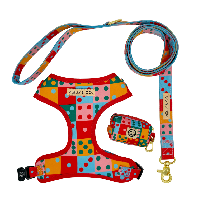 Doble Seis - Walking Bundle