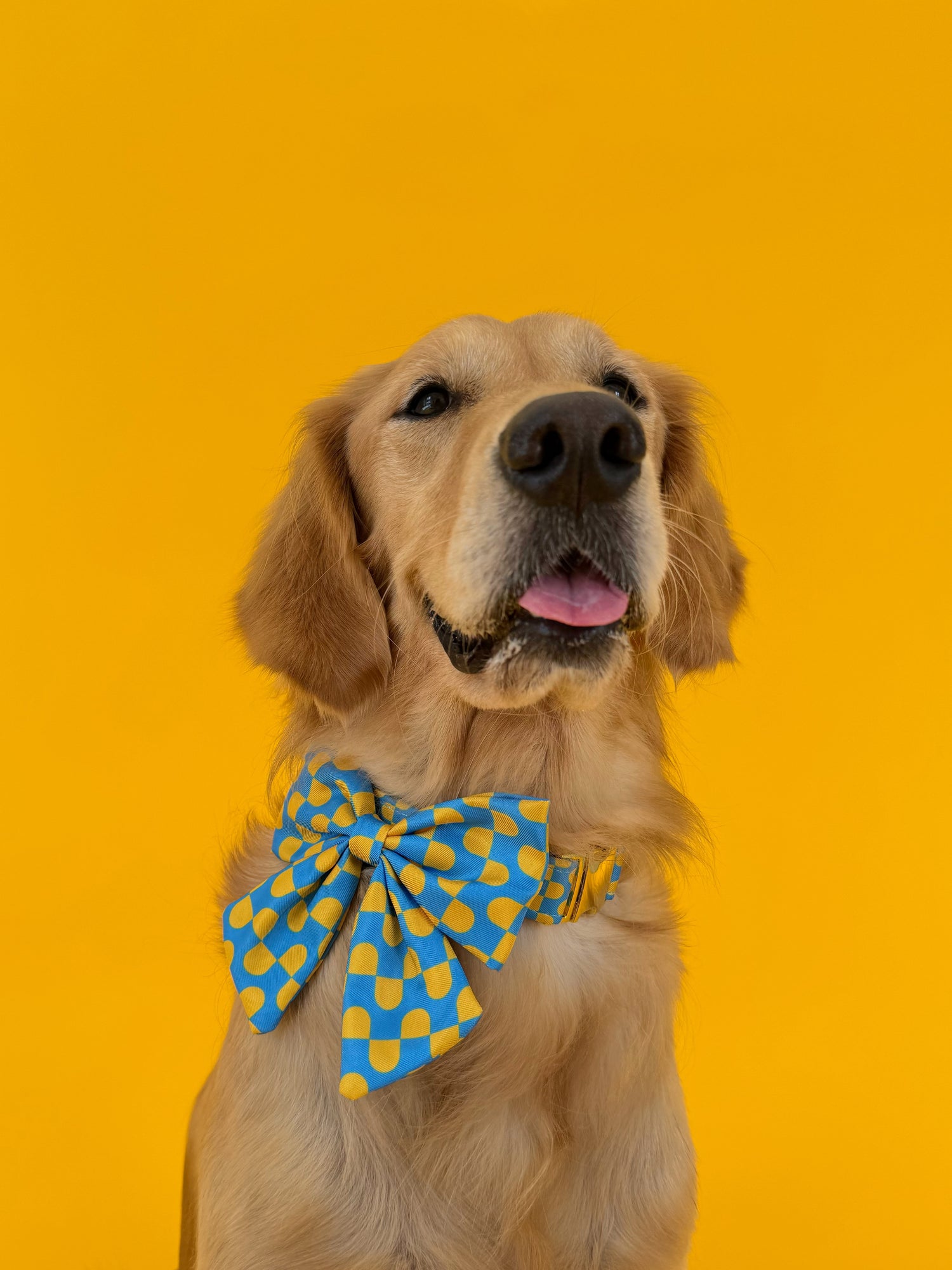 Sunrise - Dog Sailor Bowtie
