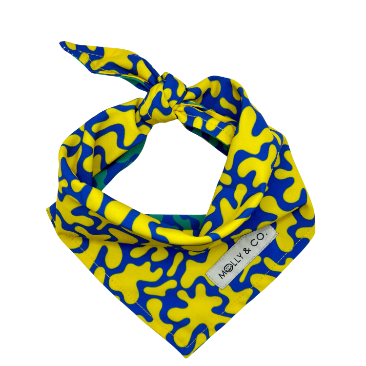 Neptune - Reversible Dog Bandana