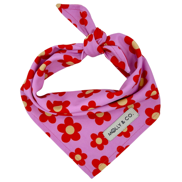 Wildflower - Reversible Dog Bandana