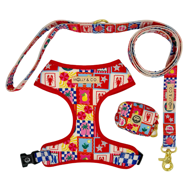 Amalfi - Walking Bundle