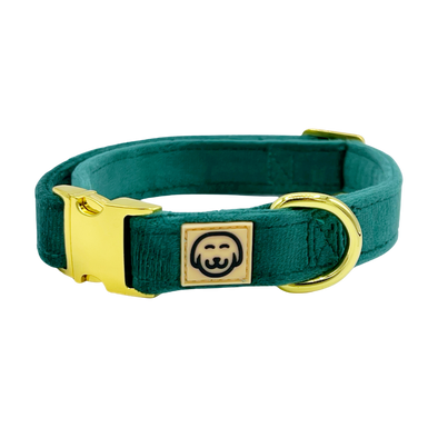 Emerald Velvet - Dog Collar