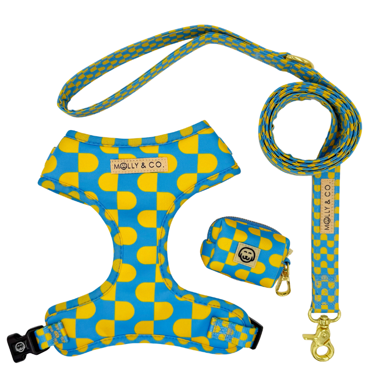 Sunrise - Walking Bundle