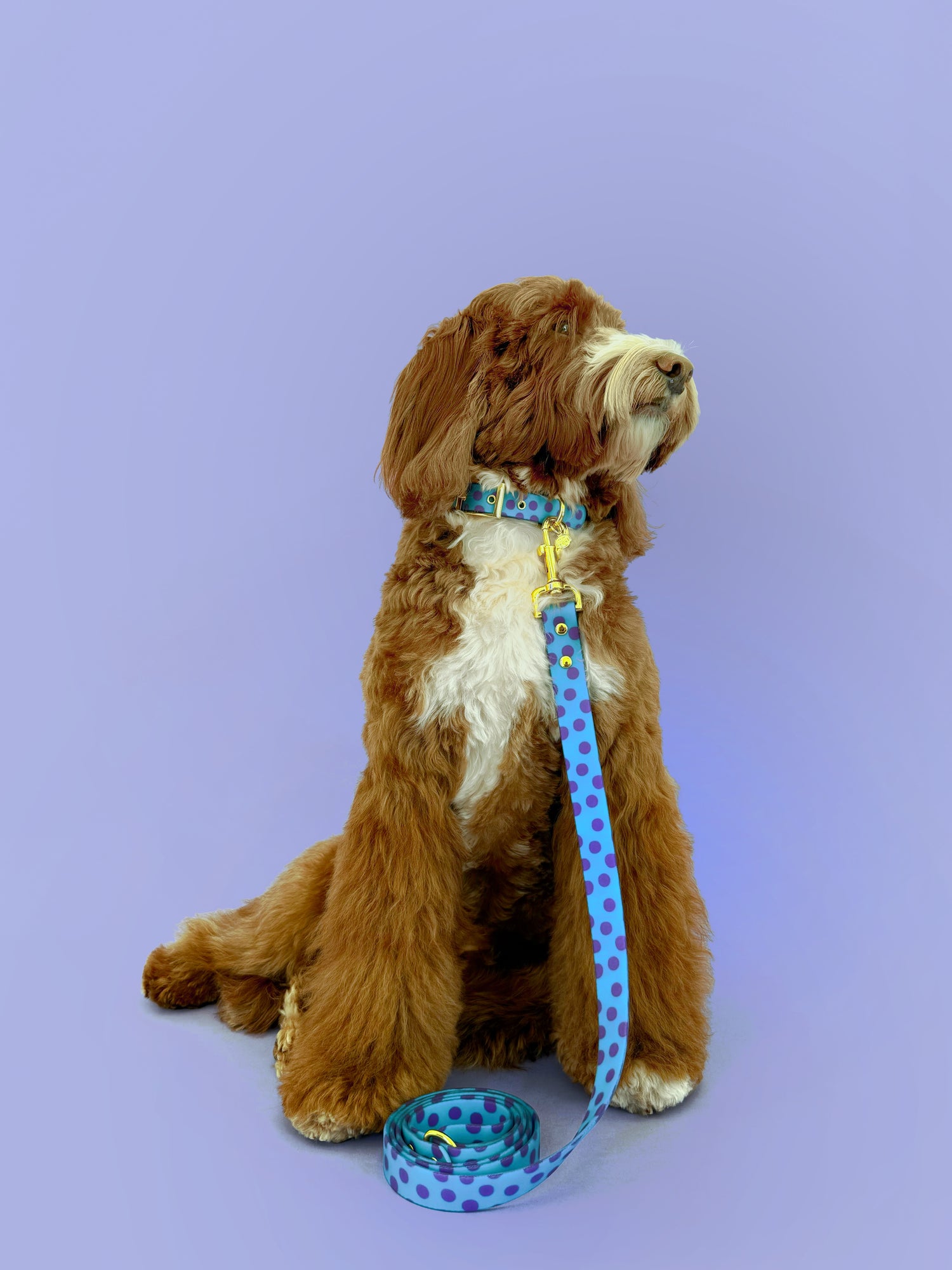 Supernova - Splashproof Bundle