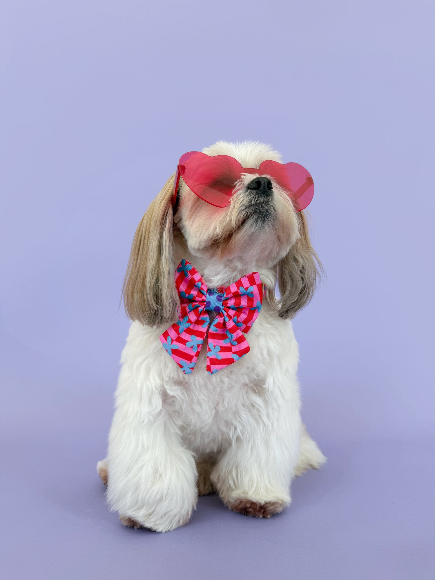 Supernova - Dog Sailor Bowtie