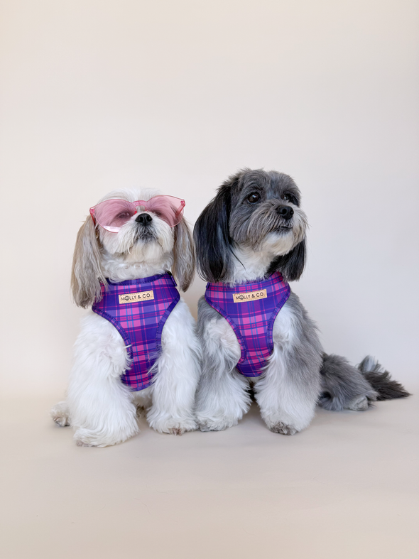 Pinkberry Plaid - Adjustable Dog Harness