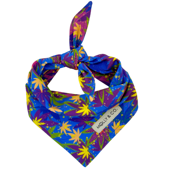 CannaPaws - Reversible Dog Bandana