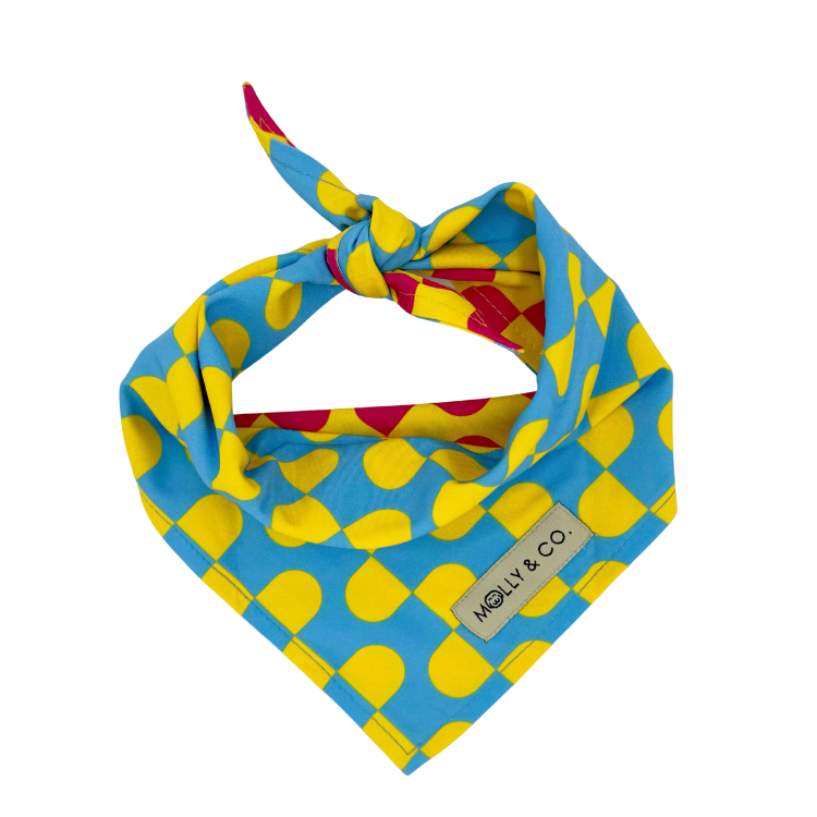 Sunrise - Reversible Dog Bandana