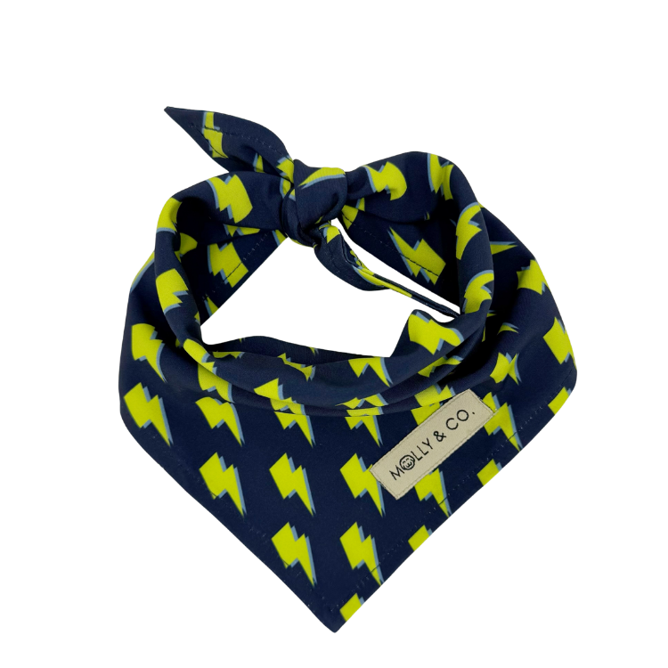 Bolt - Dog Bandana
