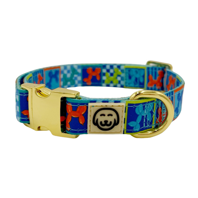 Neon Pop - Dog Collar