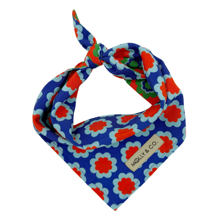 Sorrento - Reversible Dog Bandana