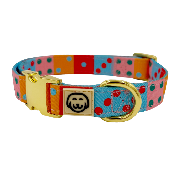 Doble Seis - Dog Collar