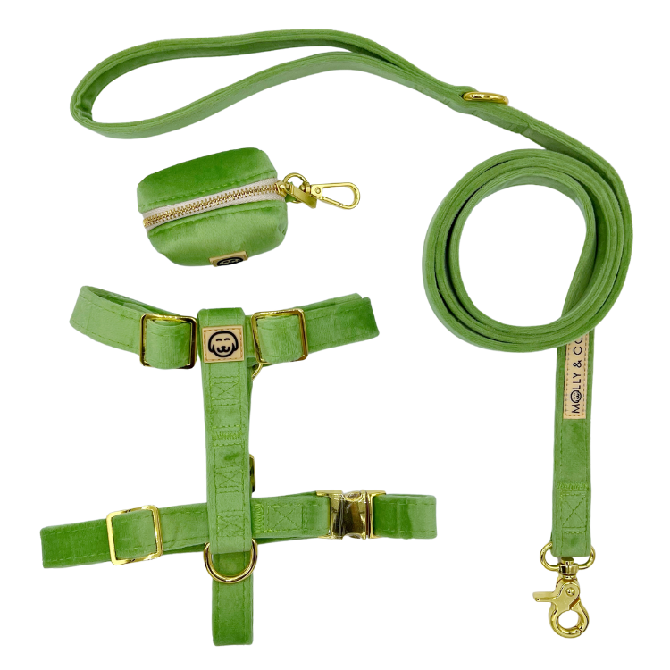 Fern Velvet - Walking Bundle