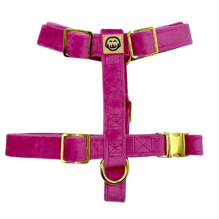 Rose Velvet - Adjustable Strap Dog Harness