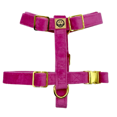 Rose Velvet - Adjustable Strap Dog Harness