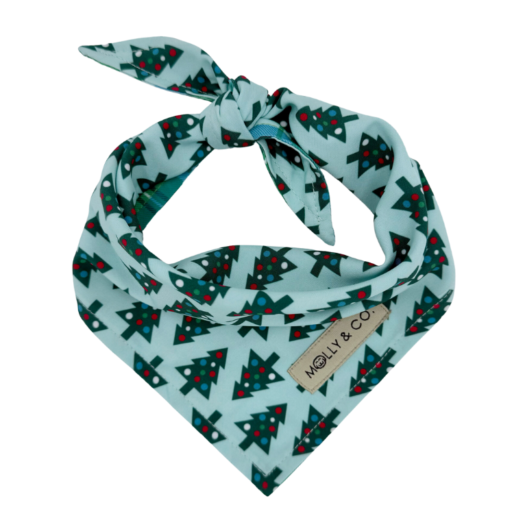 Northern Lights + Deck the Halls - Reversible Dog Bandana