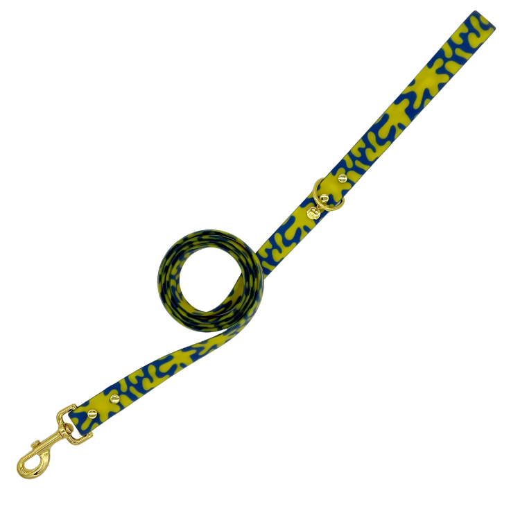 Neptune - Splashproof Dog Leash