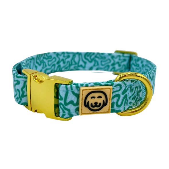 Seaweed - Dog Collar - FINAL SALE