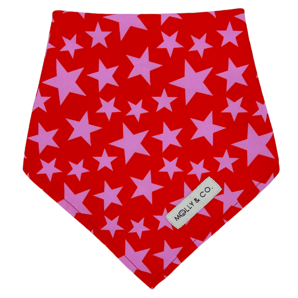 Wildflower - Reversible Dog Bandana