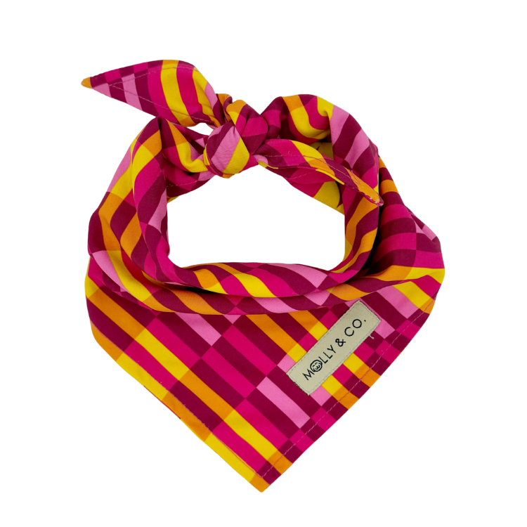 Odessa - Reversible Dog Bandana