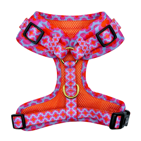 Venezia - Adjustable Dog Harness