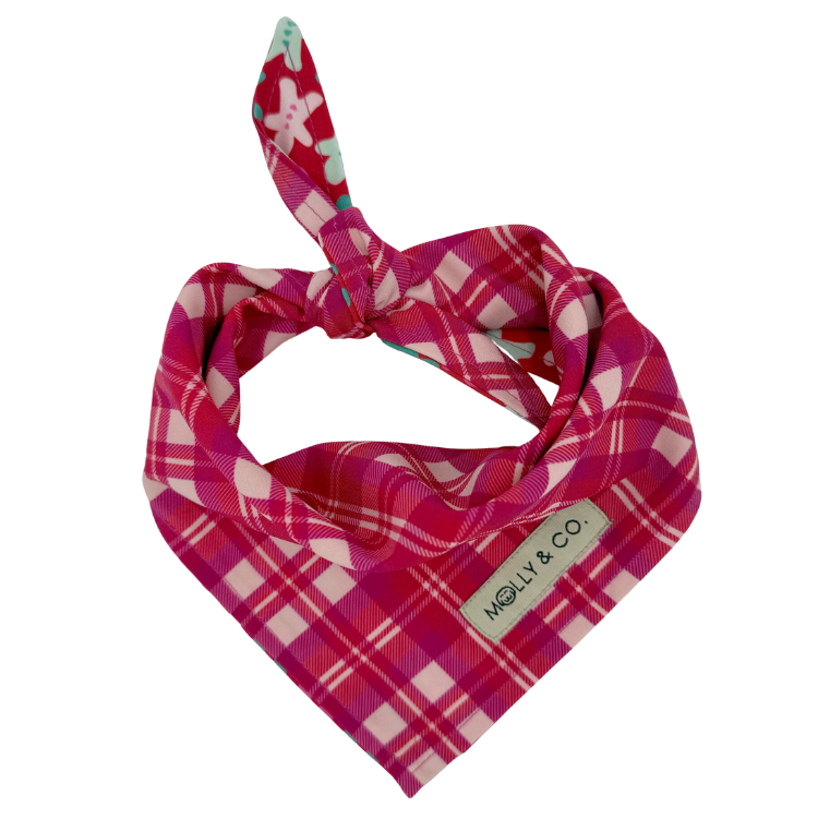 Rosewood Tartan + Gingerbread - Reversible Dog Bandana